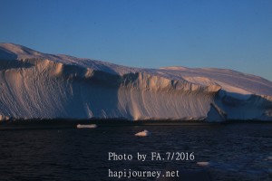 IMG 0637