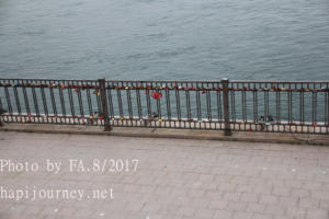 IMG 0696