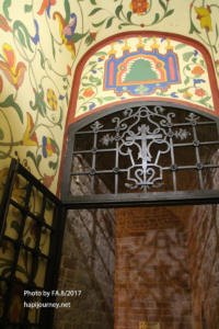 IMG 0753