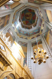 IMG 0831