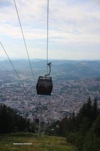 IMG 0997 (1)