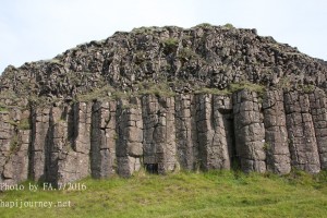 IMG 1243 (1)