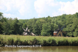 IMG 1393 (1)