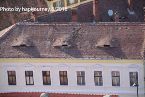 IMG 1460 (1)