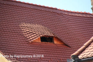 IMG 1485 (1)
