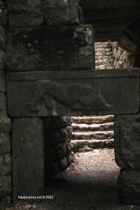 IMG 1585 (1)