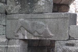 IMG 1586 (1)