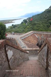 IMG 1594 (1) (1)