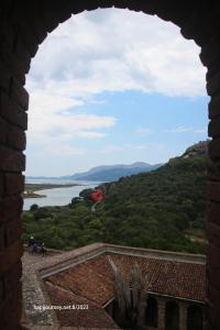 IMG 1595 (1) (1)