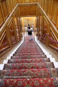 IMG 1603 (1)