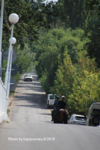 IMG 1720 (1)