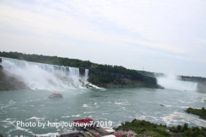 IMG 1729 (1)