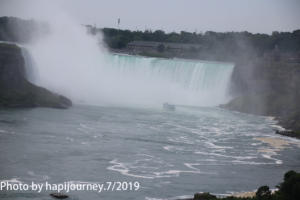 IMG 1730 (1)