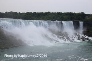 IMG 1731 (1)