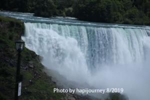 IMG 1769 (1)