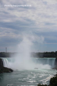 IMG 1784