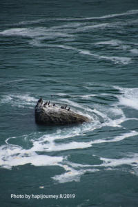 IMG 1786 (1)