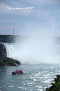 IMG 1788