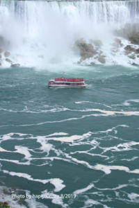 IMG 1792 (1)