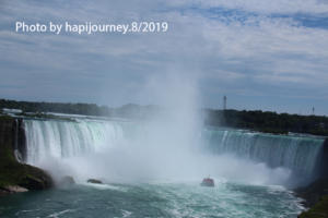 IMG 1799 (1)