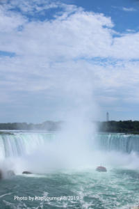 IMG 1800 (1)