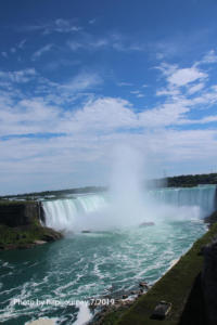 IMG 1803