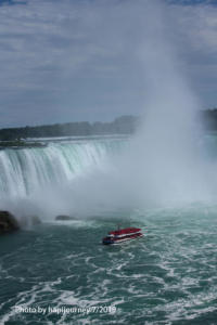IMG 1804 (1)