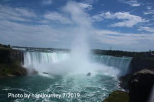 IMG 1806
