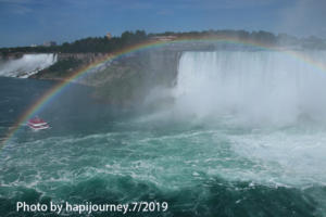 IMG 1835 (1)
