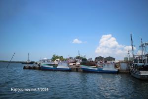 IMG 1849 (1) (1)