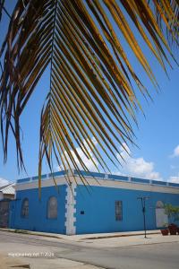 IMG 1857 (1) (1)