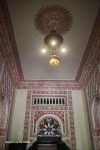 IMG 1863 (1) (1)