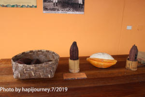 IMG 1872 (1)