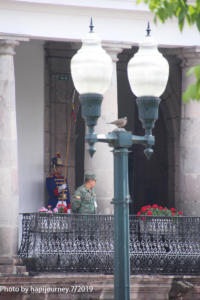 IMG 1899 (1)
