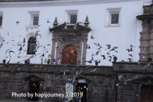 IMG 1930 (1)