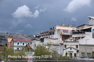 IMG 1950 (1)