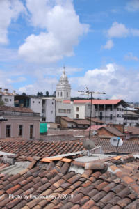 IMG 1958 (1)