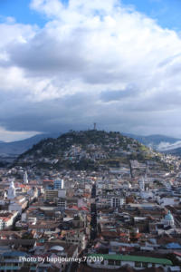 IMG 2007 (1)