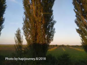 IMG 20180812 195054