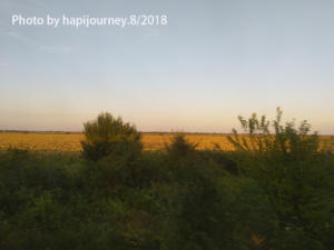 IMG 20180812 195109