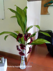 IMG 20190727 034123