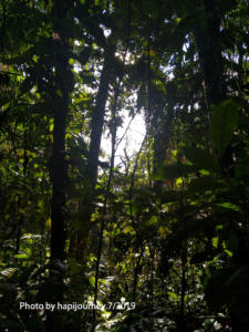 IMG 20190729 045305