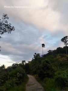 IMG 20190729 070036