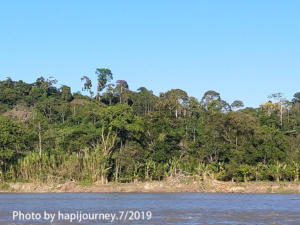 IMG 20190730 055949