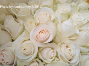 IMG 20190731 222726