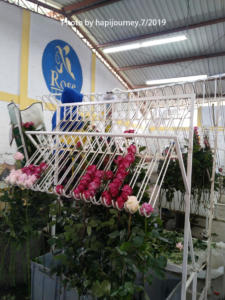 IMG 20190731 224244