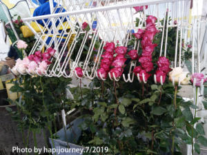 IMG 20190731 224306