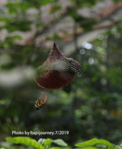IMG 2052 (1)