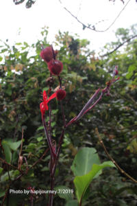 IMG 2214 (1)