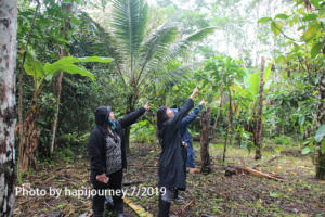 IMG 2226 (1)